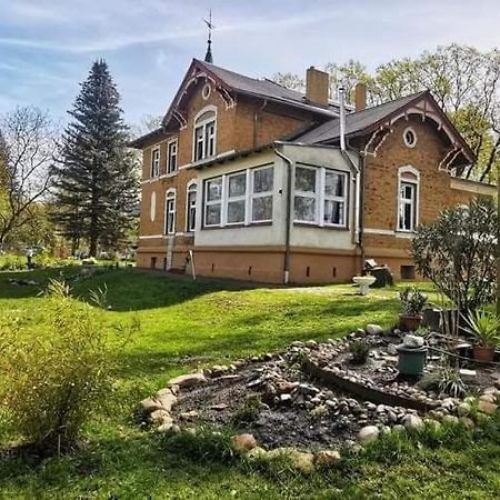 Villa Familyandbike Neupetershain Exterior foto